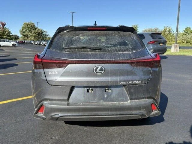 Used 2024 Cloudburst Gray with Obsidian Roof Lexus UX 250h F SPORT Design image 11