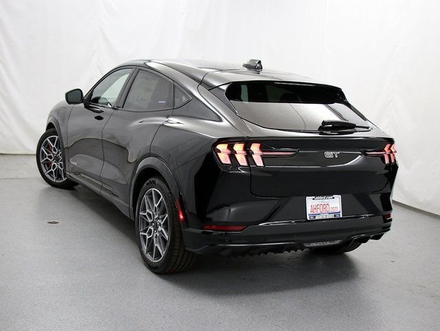 2025 Ford Mustang Mach-E GT - Photo 8