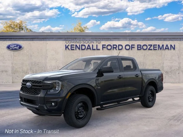 New 2026 Shadow Ford XL image 1