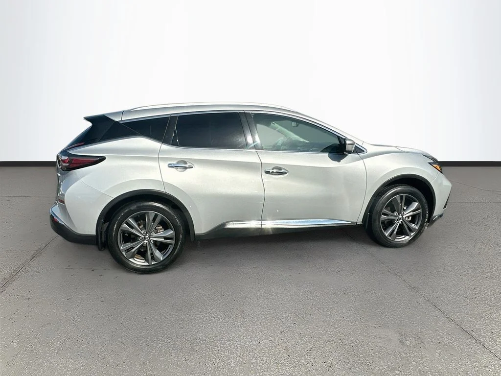 Used 2020 Silver Nissan Platinum image 8