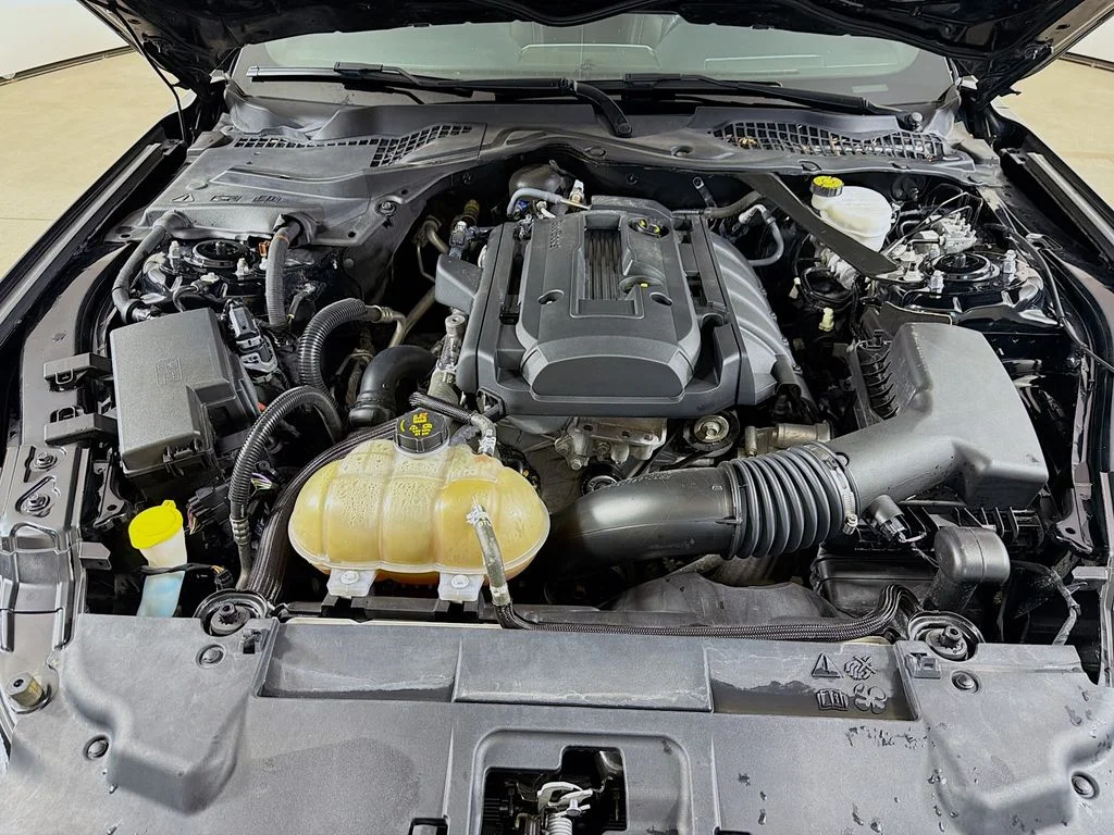 Used 2019 Black Ford EcoBoost Premium image 25