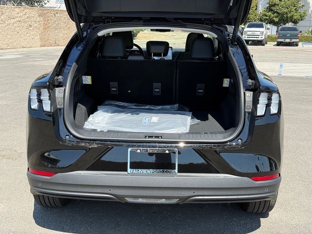 New 2026 Shadow Black Ford Premium image 14