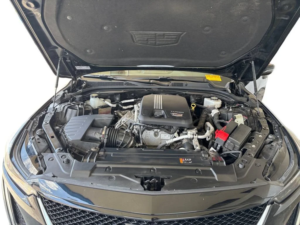 Used 2023 BLACK RAVEN Cadillac Sport image 14