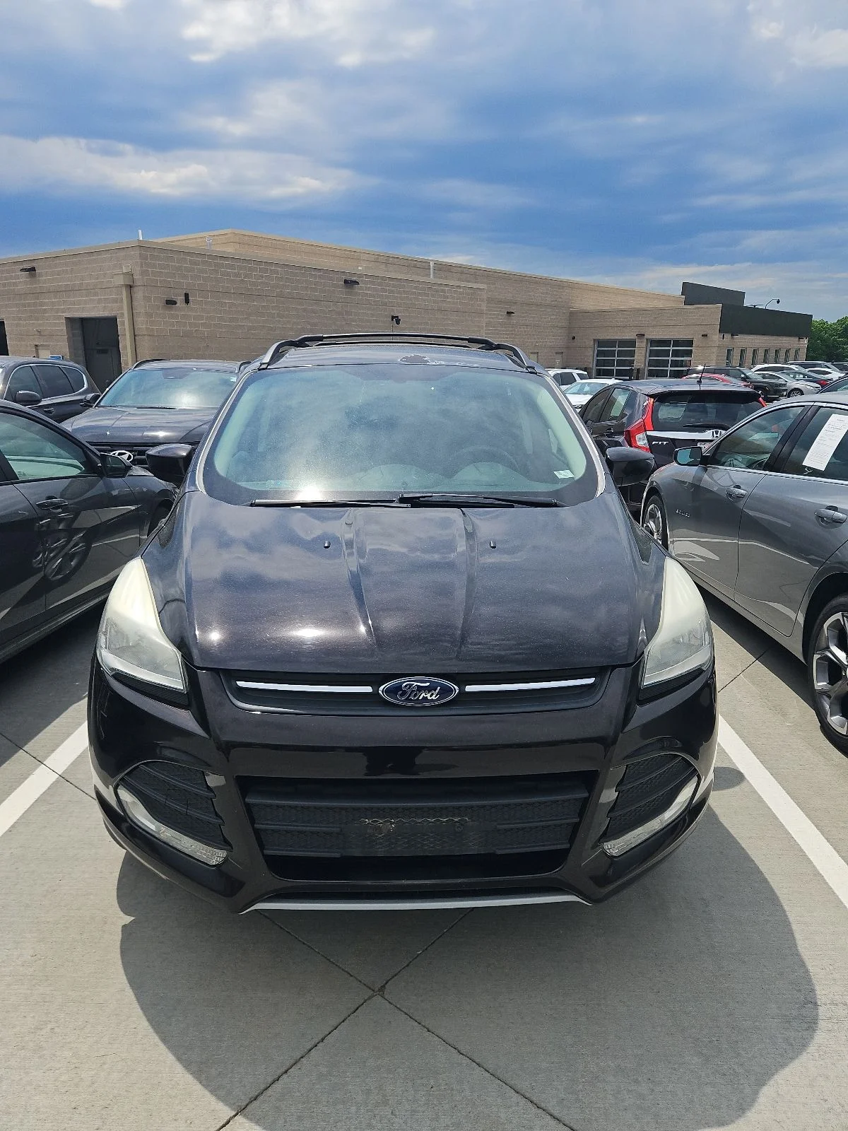2013 Ford Escape SE's photo