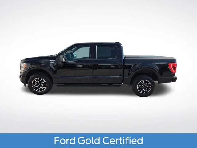 Certified Used 2023 Black Ford XLT image 2