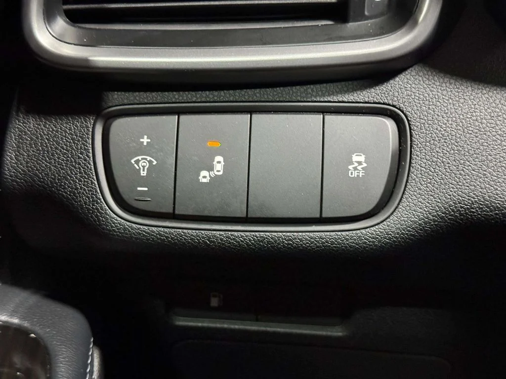 Used 2019 Titanium Silver Kia LX image 19
