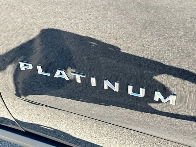 New 2026 Black Metallic Ford Platinum image 19