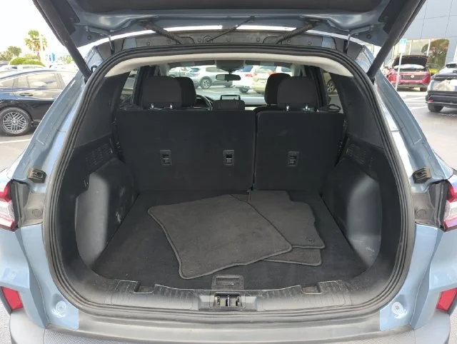 Used 2024 Blue Ford Active image 19