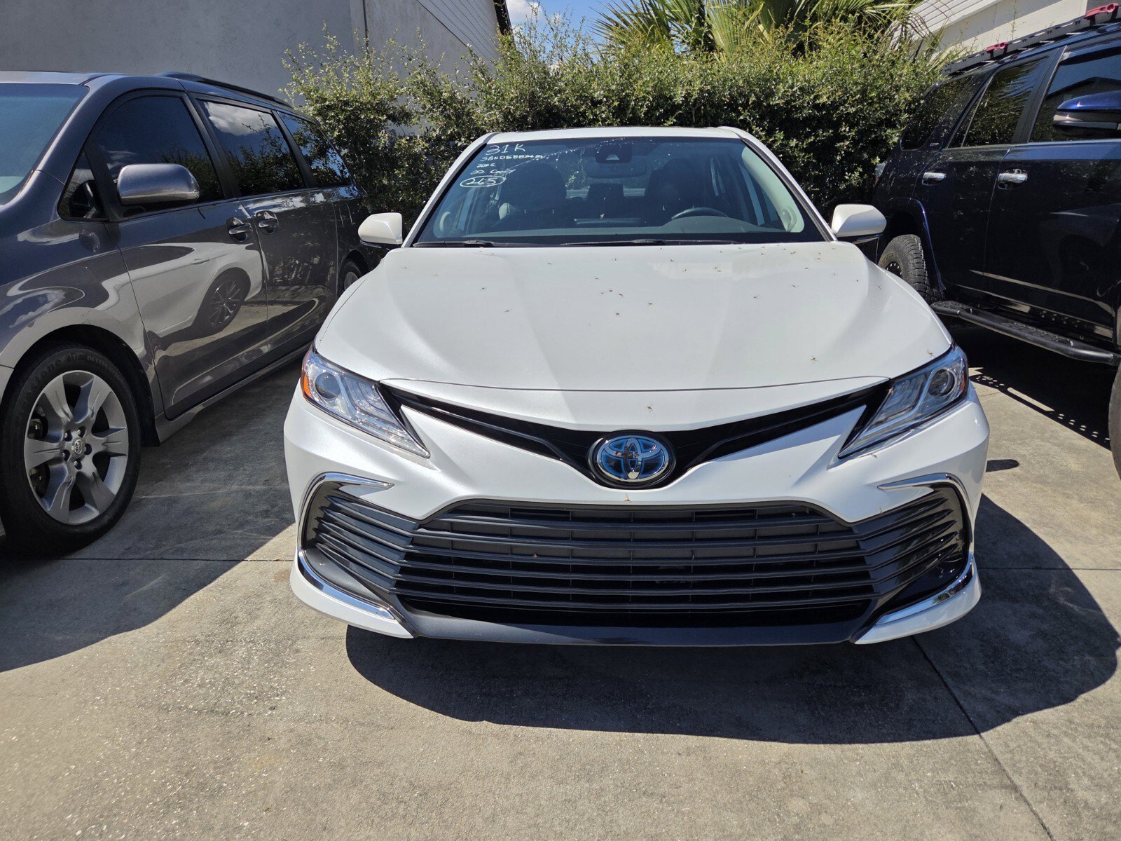 Used 2022 Pearl Toyota XLE image 1