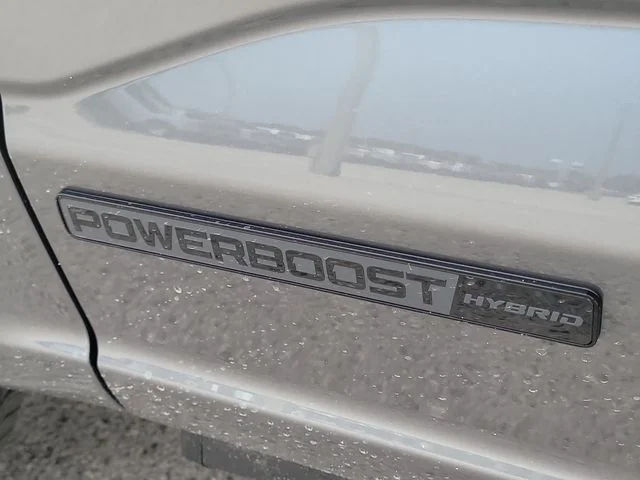 New 2026 Gray Metallic Ford Platinum image 10