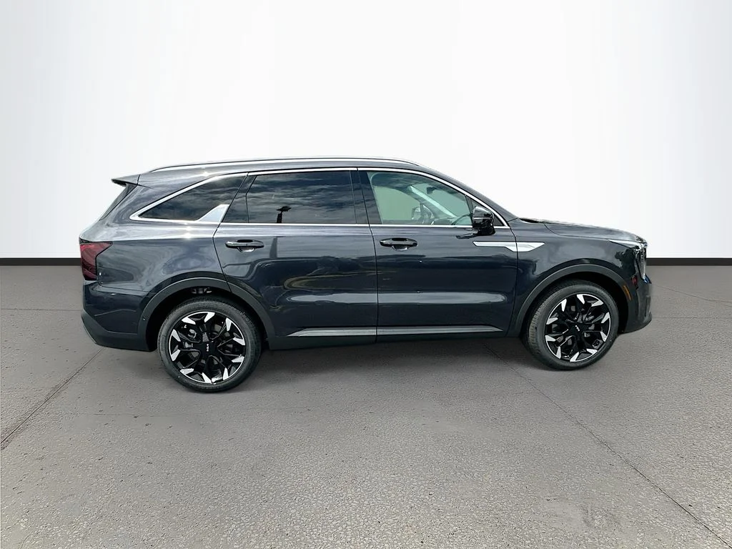 New 2026 Panthera Metal Kia SX image 8