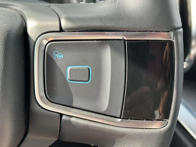 New 2026 White Ford Platinum image 20