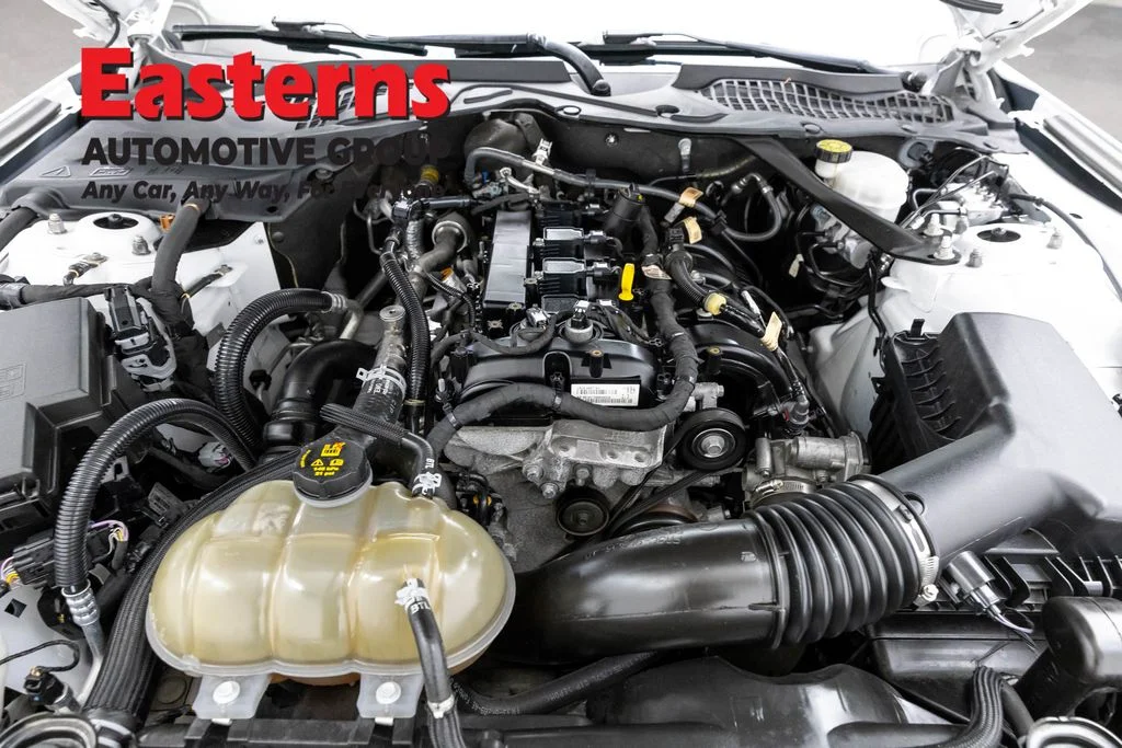 Used 2022 White Ford EcoBoost Premium image 7