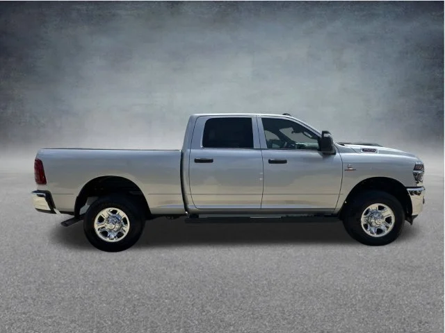 New 2026 Silver-Zynith Exterior Paint RAM Tradesman image 9