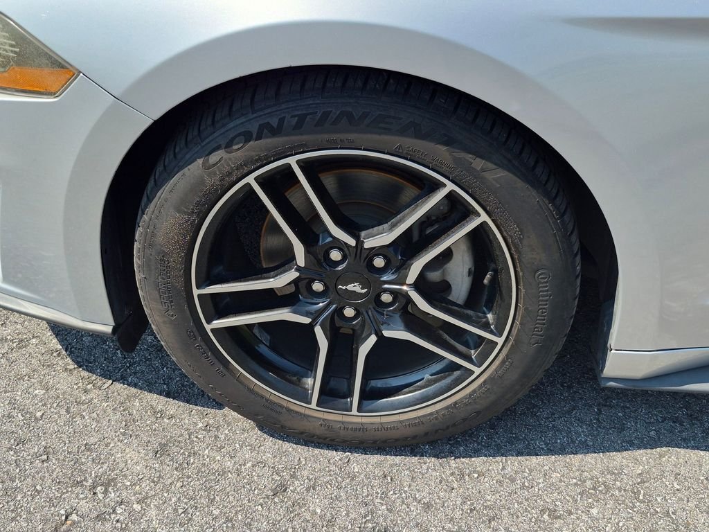 Used 2019 Silver Ford EcoBoost Premium image 12