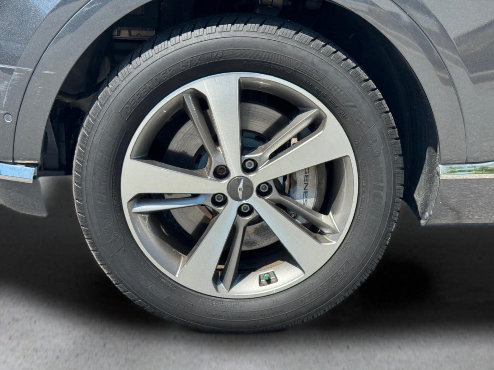 Used 2021 Himalayan Gray Genesis Advanced + image 9