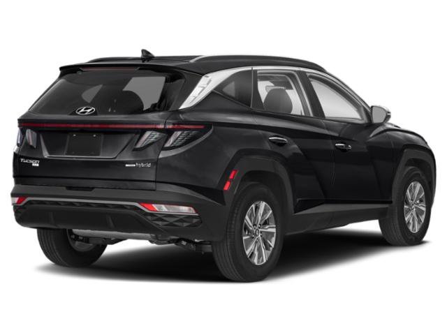 Used 2022 Hyundai Tucson Blue with VIN KM8JBCA16NU028386 for sale in Minneapolis, Minnesota