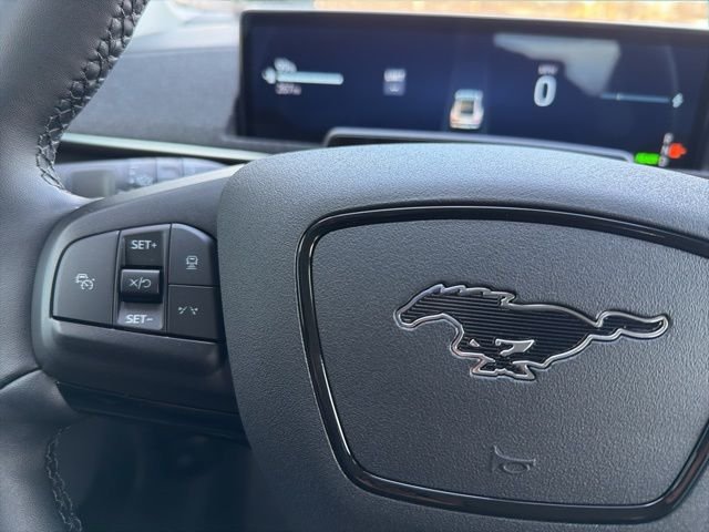 New 2026 Shadow Black Ford Premium image 21
