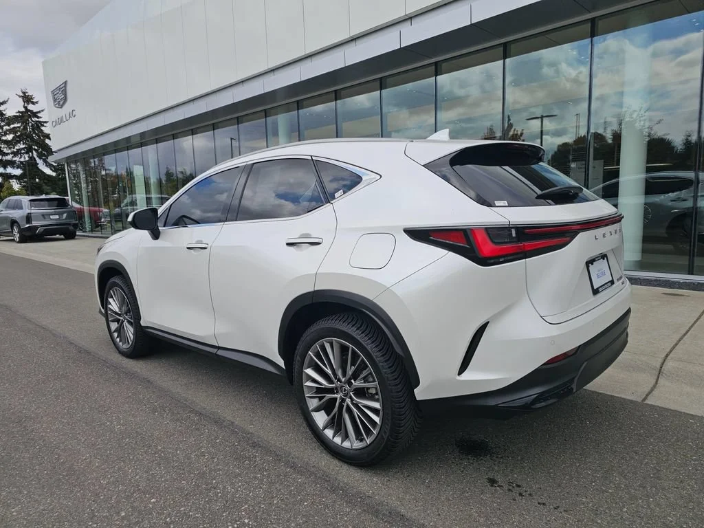 Used 2024  Lexus NX 350 Luxury image 5