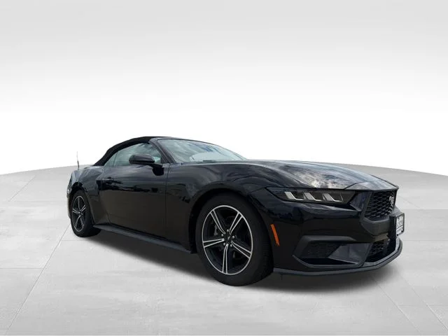 Used 2024 Black Ford EcoBoost Premium image 10