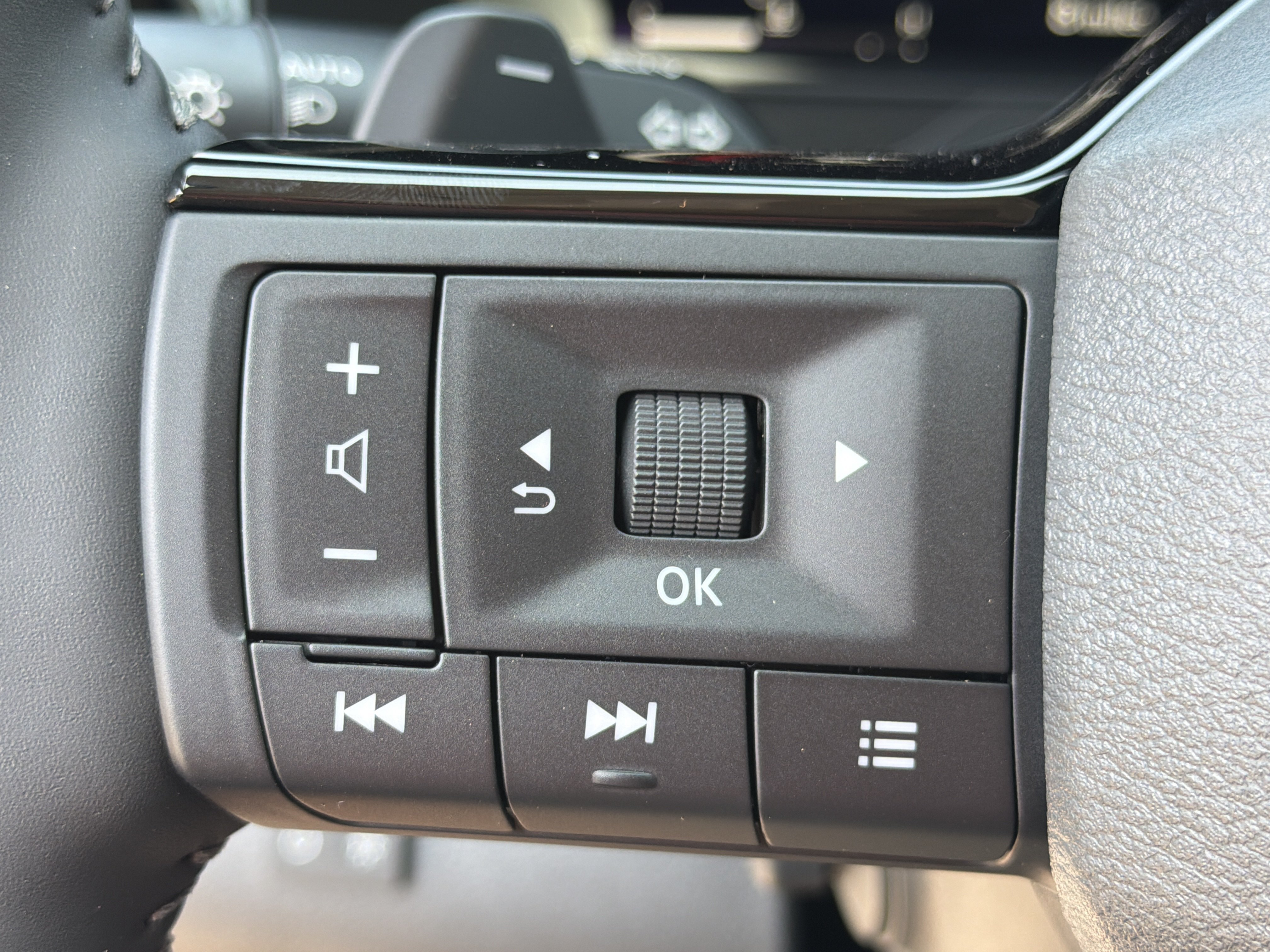 New 2026 Everest White Pearl Tricoat Nissan Platinum image 25