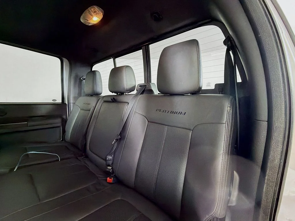 Used 2016 Silver Ford Platinum image 19