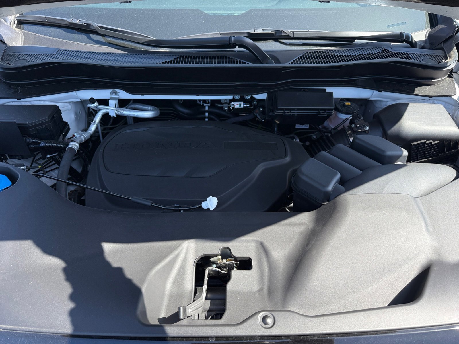 New 2026 Platinum White Pearl Honda Black Edition image 20