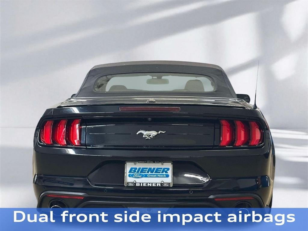Used 2019 Shadow Black Ford EcoBoost Premium image 24