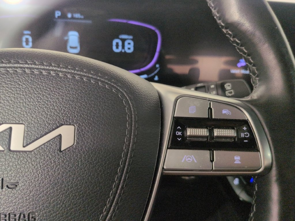 2025 Kia Telluride EX X-Pro - Photo 41