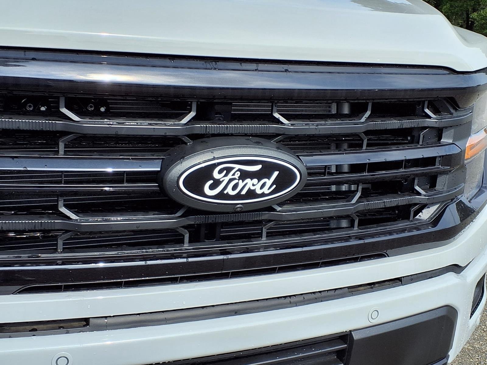 New 2026 Avalanche Ford XLT image 13
