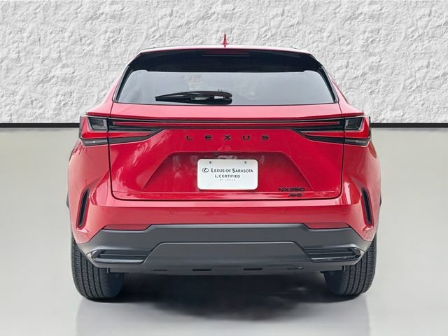 Used 2025 Red Line Lexus NX 350 Luxury image 4