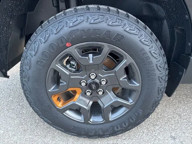 New 2025 Shadow Black Ford Tremor® image 18