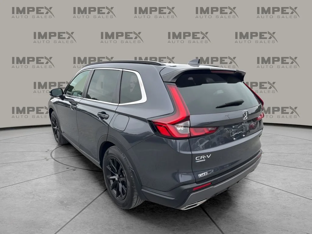 Used 2024 Blue Honda Sport-L image 3