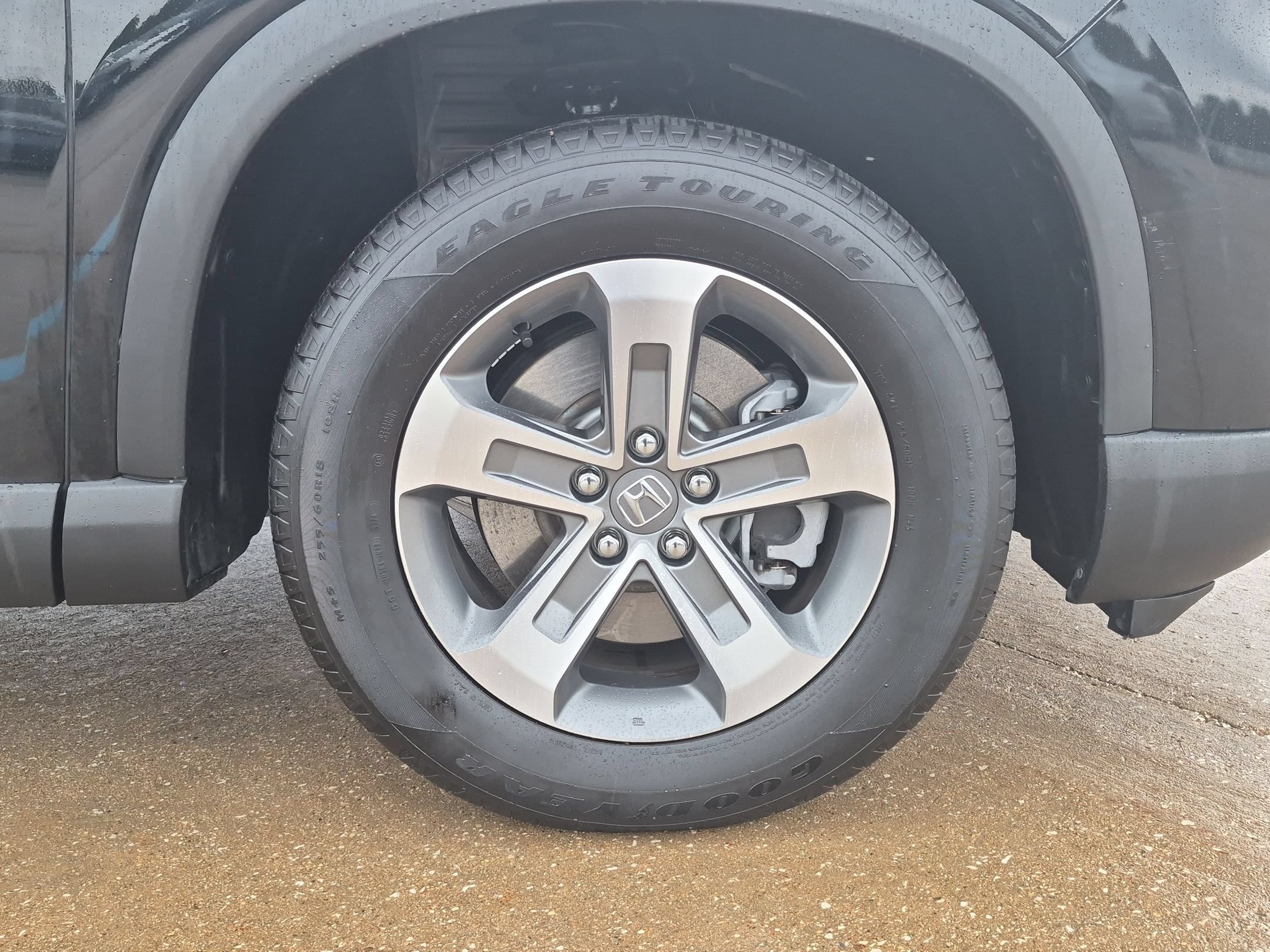 2025 Honda Pilot EX-L - Photo 33