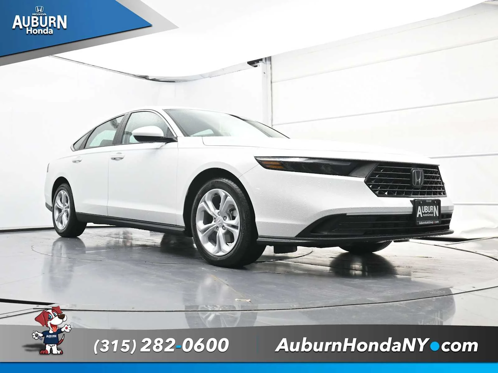 New 2025 Platinum White Pearl Honda LX image 16