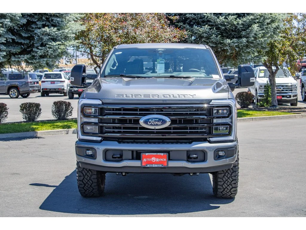 New 2026 Carbonized Gray Metallic Ford Platinum image 4
