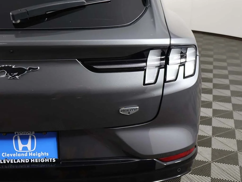 Used 2023 Gray Metallic Ford California Route 1 image 17