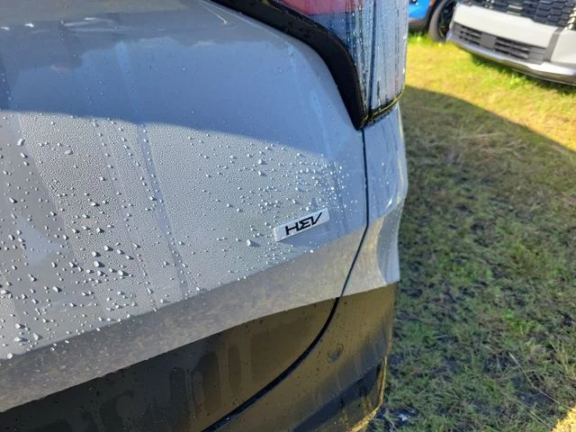 New 2027 Wolf Gray Kia X-Line image 6