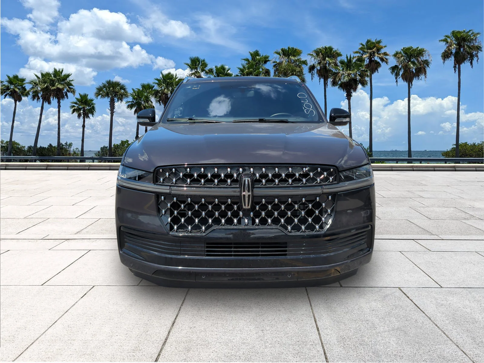 Used 2025 Starlight Lincoln Black Label image 3