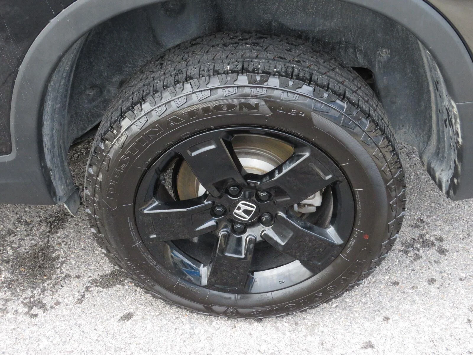 Used 2024  Honda Black Edition image 13