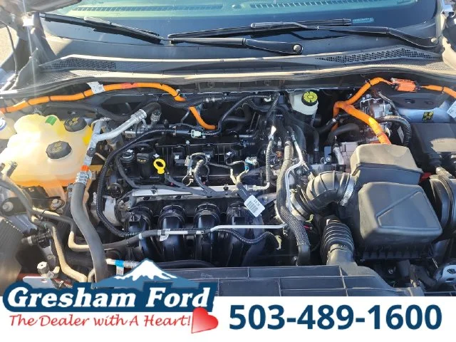 Used 2022 Blue Ford SE image 29