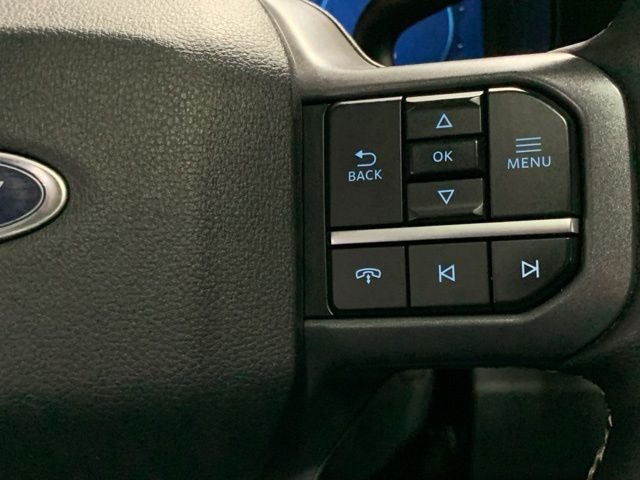 Used 2025 Red Ford Platinum image 17