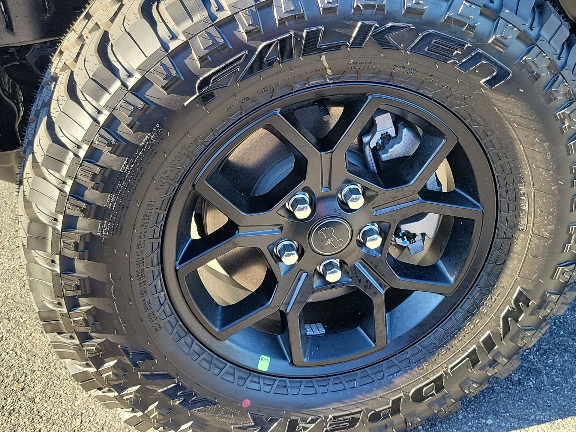 New 2026 Anvil Clear-Coat Exterior Paint Jeep Willys image 23