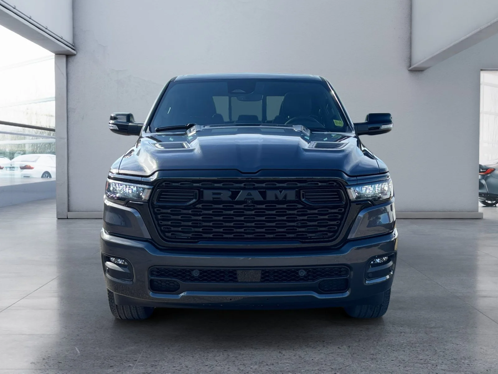 New 2026 Granite Crystal Metallic Ram Sport image 8