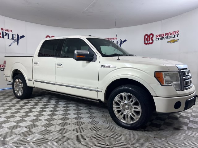2009 Ford F-150