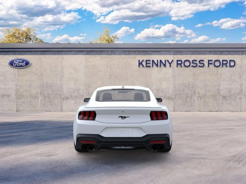 New 2025 White Ford EcoBoost Premium image 5