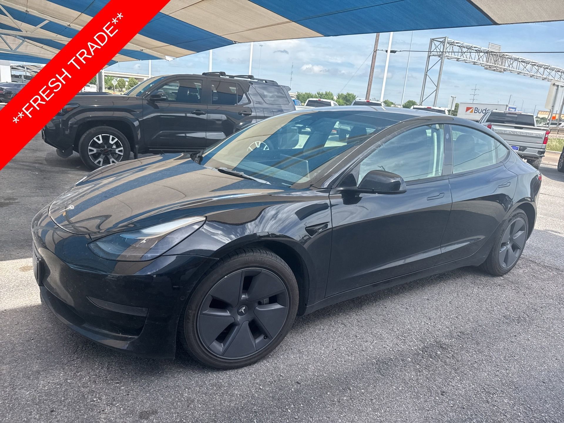 2022 Tesla Model 3 Standard Range Plus's photo
