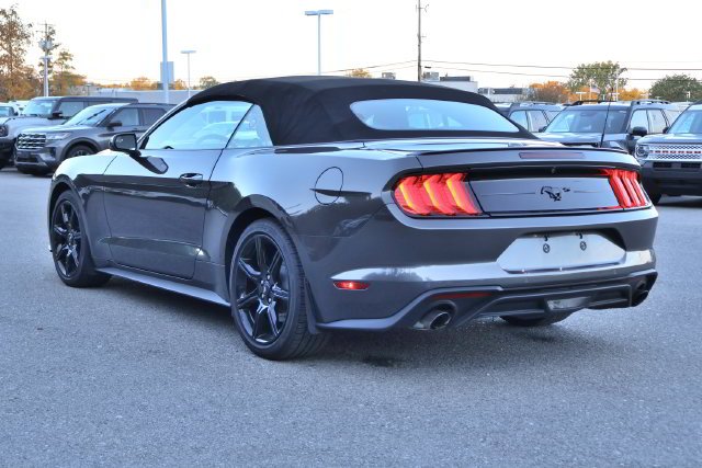 Used 2019 Gray Ford EcoBoost image 4