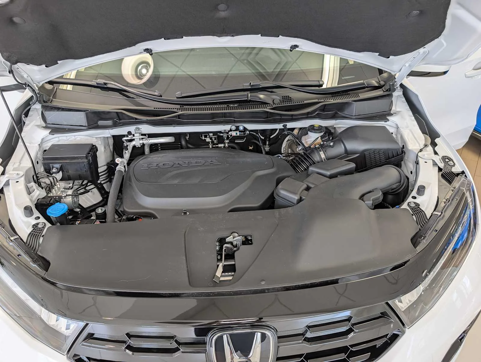 New 2027 Platinum White Pearl Honda Elite image 11