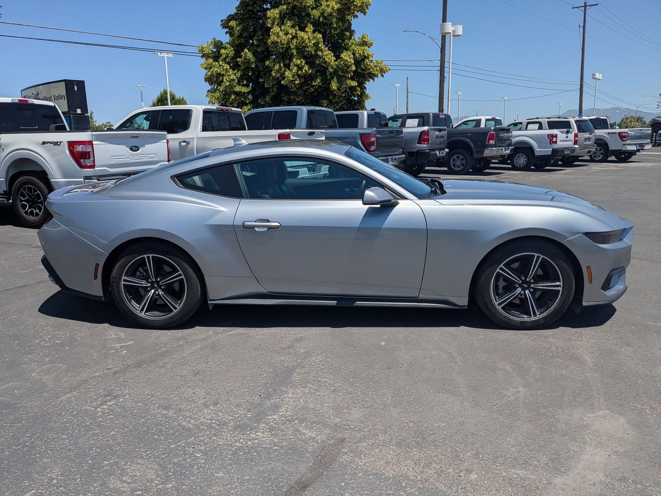 Used 2025 Silver Ford EcoBoost Premium image 2